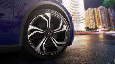 Michelin Pilot Sport EV